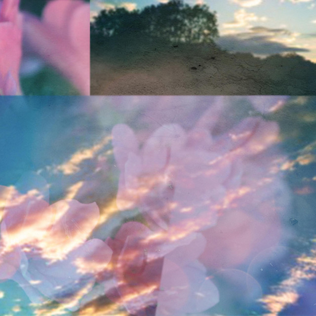 Thisdreamsucks cover art