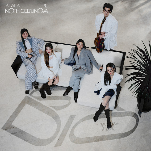 undefined album image