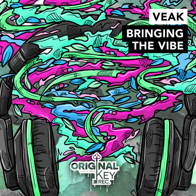Bringing The Vibe artwork