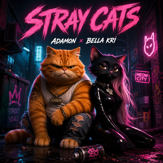 Stray Cats