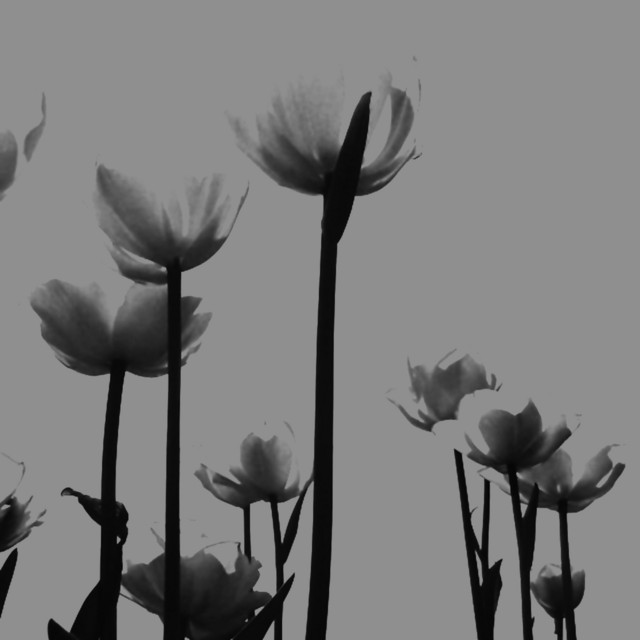 I Loved You so Much, It only Hurt My Head cover art