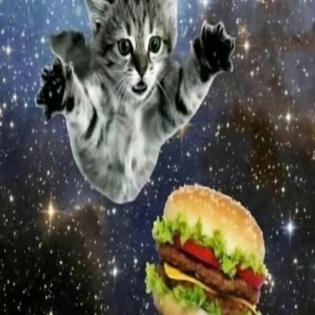 fives cover art