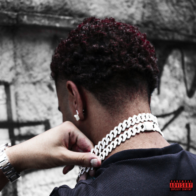 Selva de Pedra Dlx cover art