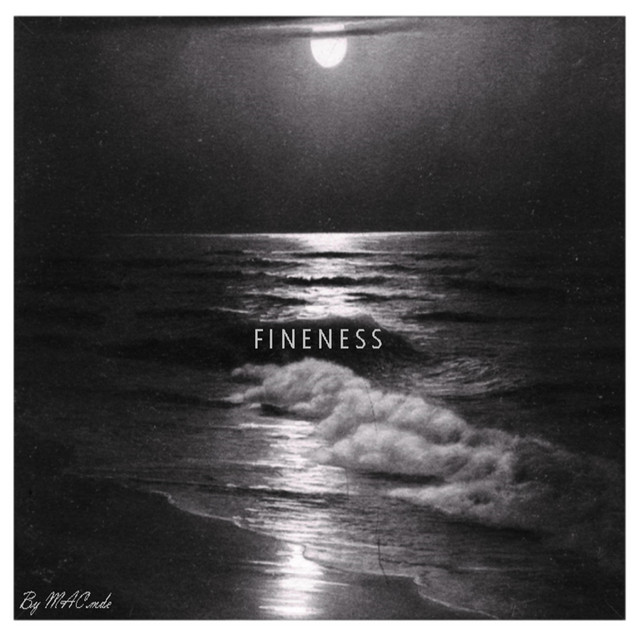 Fineness cover art
