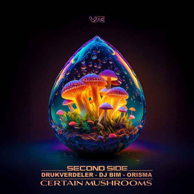 Certain Mushrooms album art