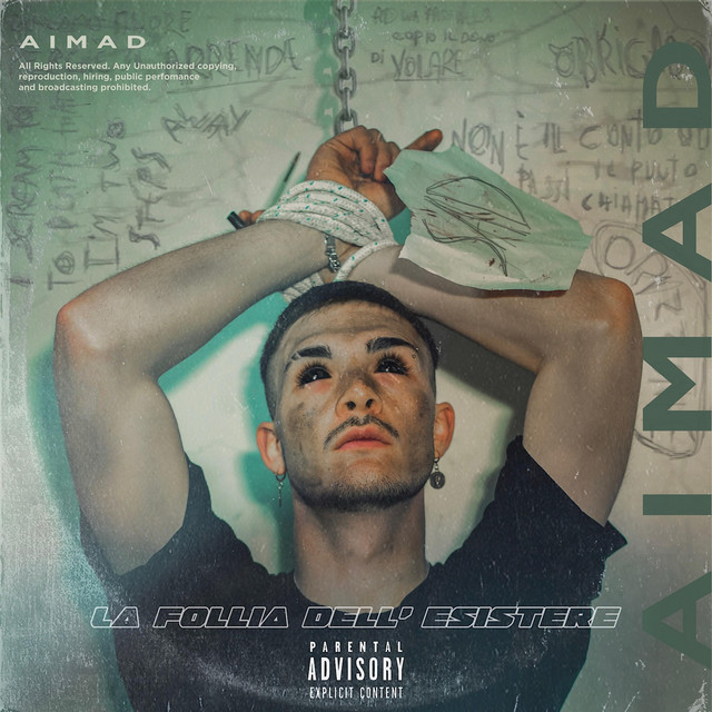 La Follia dell'Esistere cover art