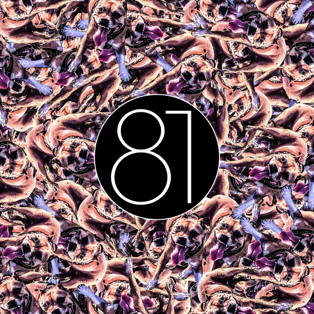 81.1 cover art