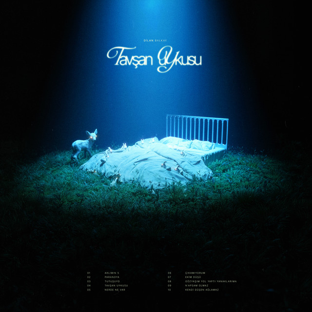 Tavşan Uykusu cover art
