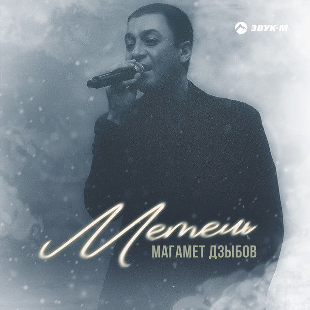 Метель cover art
