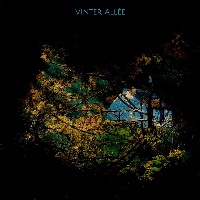 Vinter Allée cover