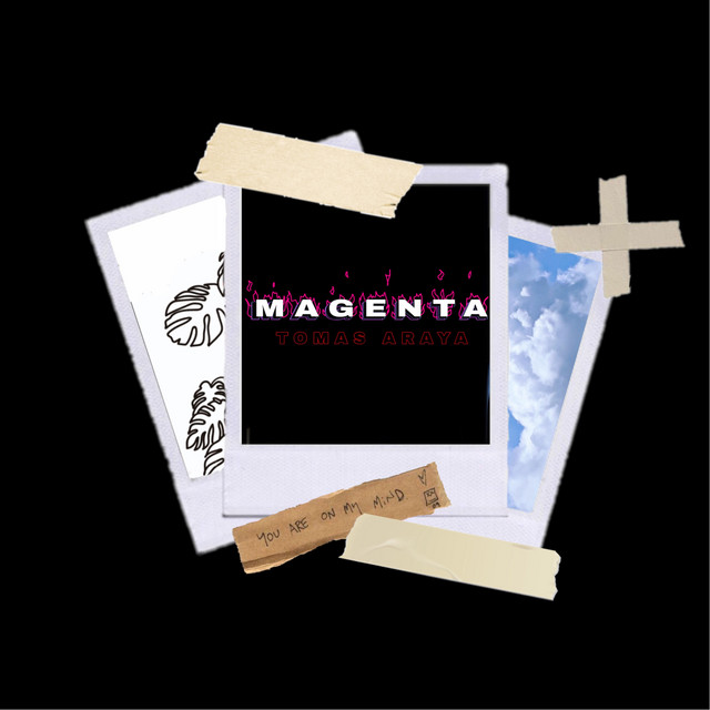Magenta cover