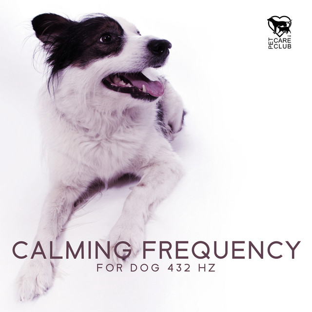 Calming Frequency for Dog 432 Hz cover art