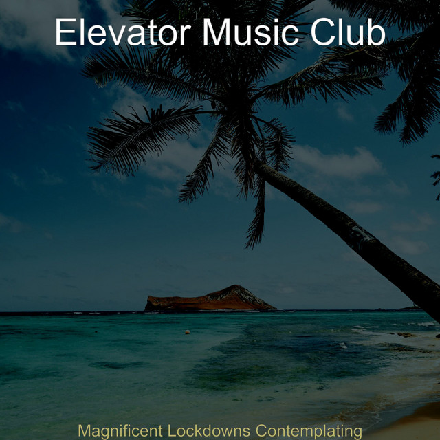 Magnificent Lockdowns Contemplating - Album by Elevator Music Club ...