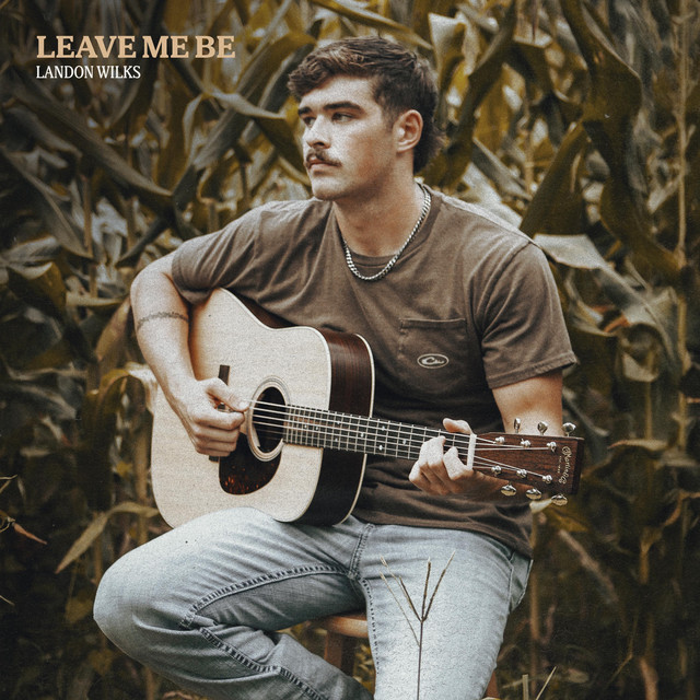 Leave Me Be album image