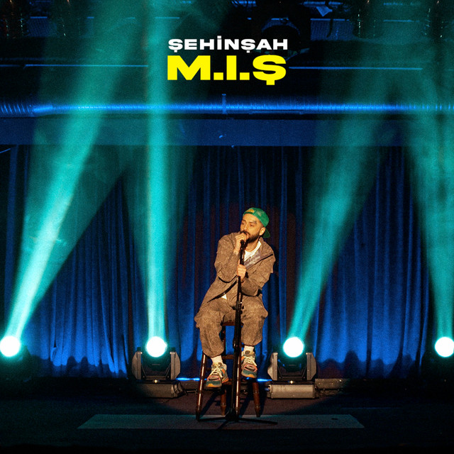 M.I.Ş cover art