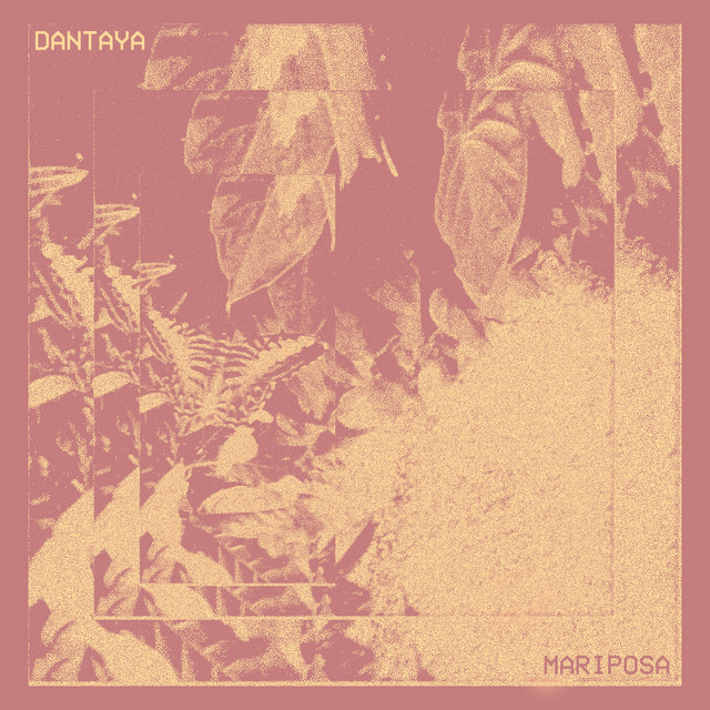 Mariposa cover art