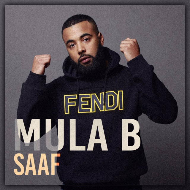 Mula B Saaf - Single by BarkieDingen | Spotify