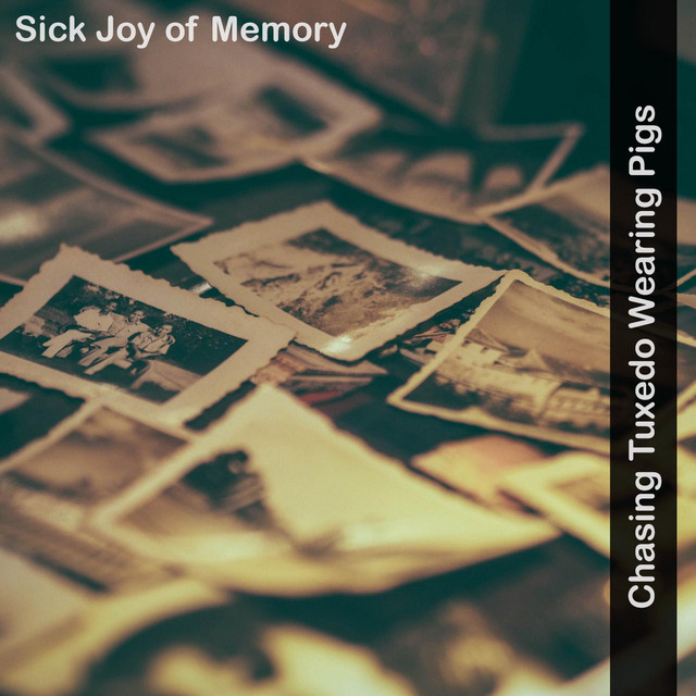 Sick Joy Of Memory cover