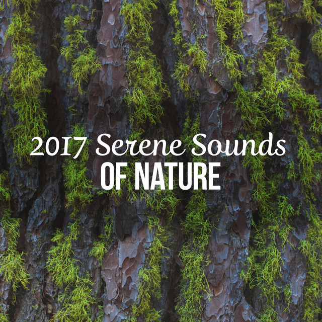 2017: Serene Sounds of Nature - Album by Nature Recordings | Spotify