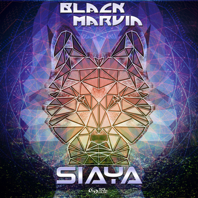 Siaya album art