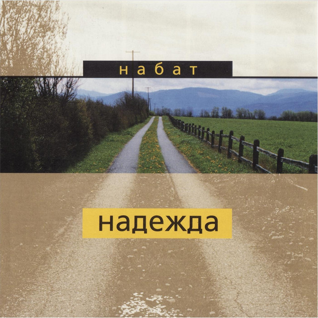Надежда cover art