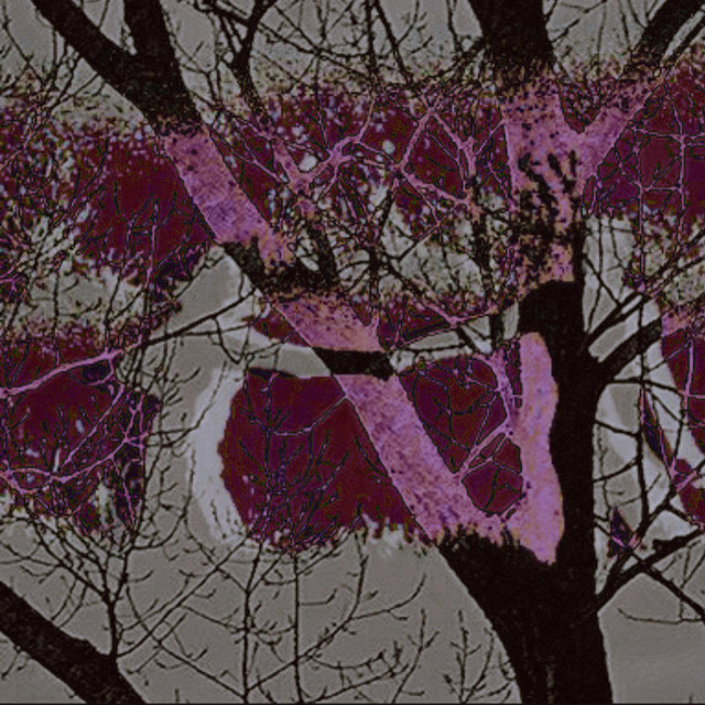 idontlikethewaymybrainworks cover art