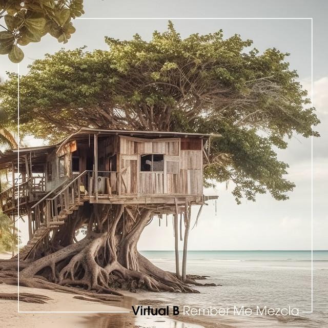 Virtual B – Remember Me Mezcla