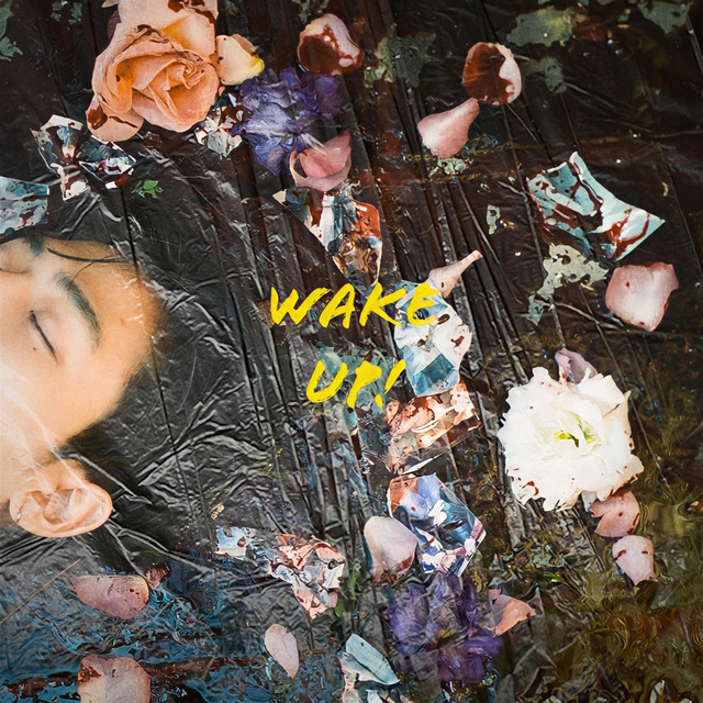 WAKE UP ! cover art