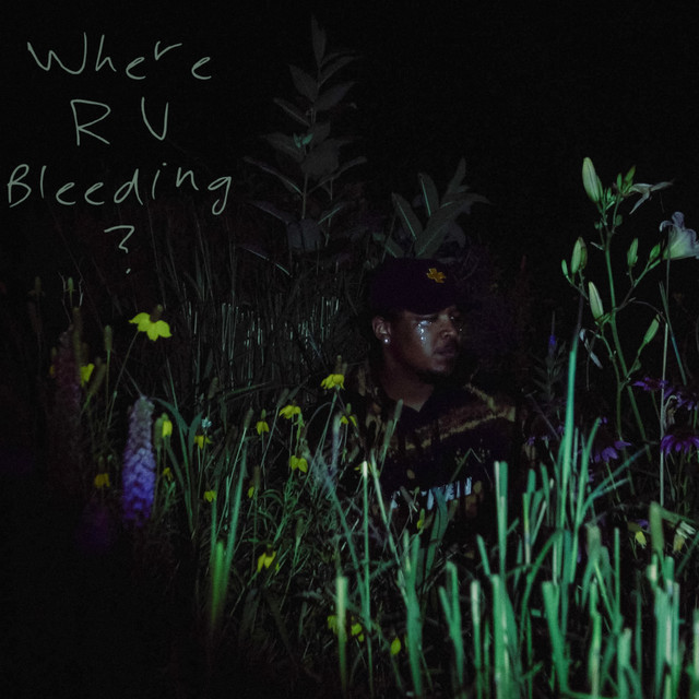 Where are you bleeding? cover art