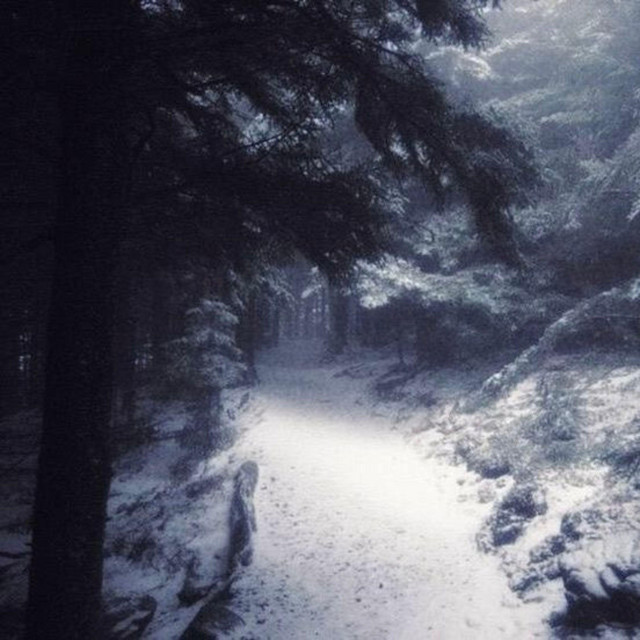 snowfall