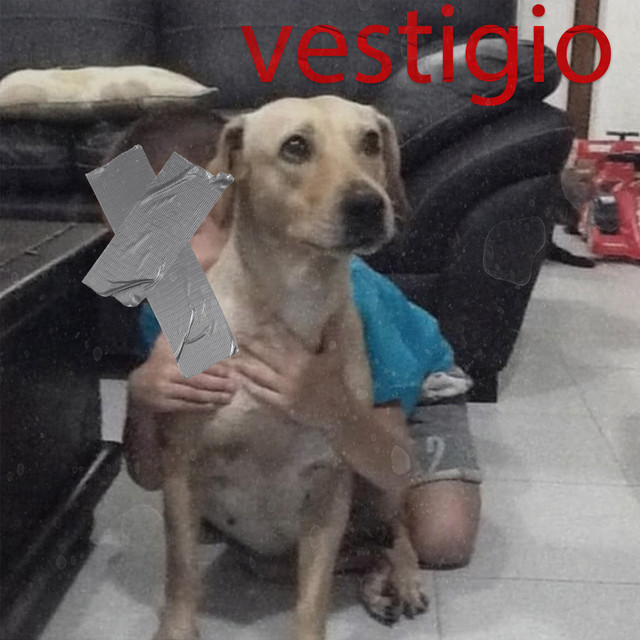 vestigio cover art