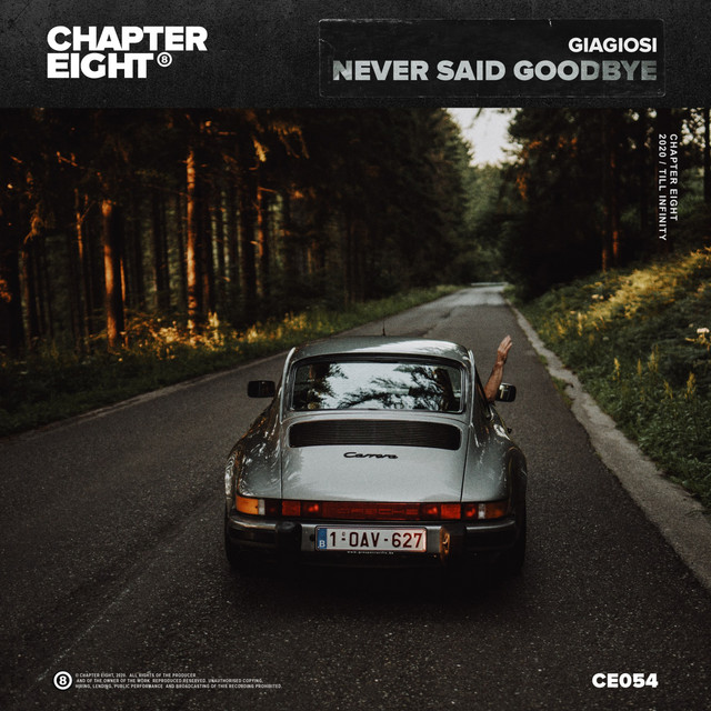 Never Say Goodbye cover art