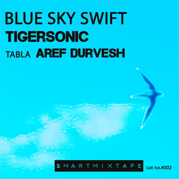 Blue Sky Swift cover
