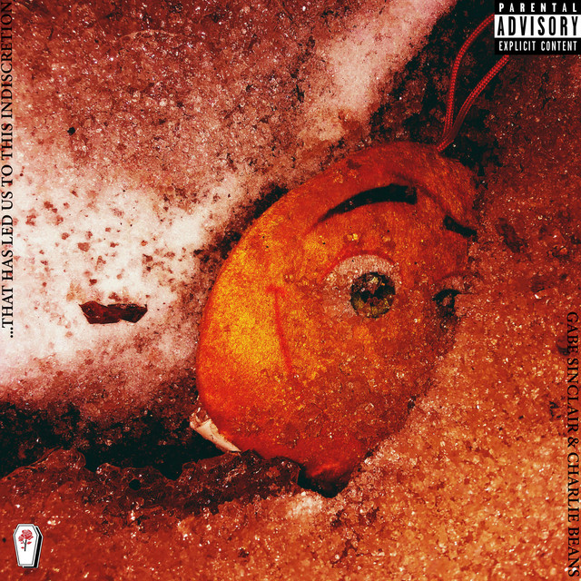 ...That Has Led Us to This Indiscretion cover art