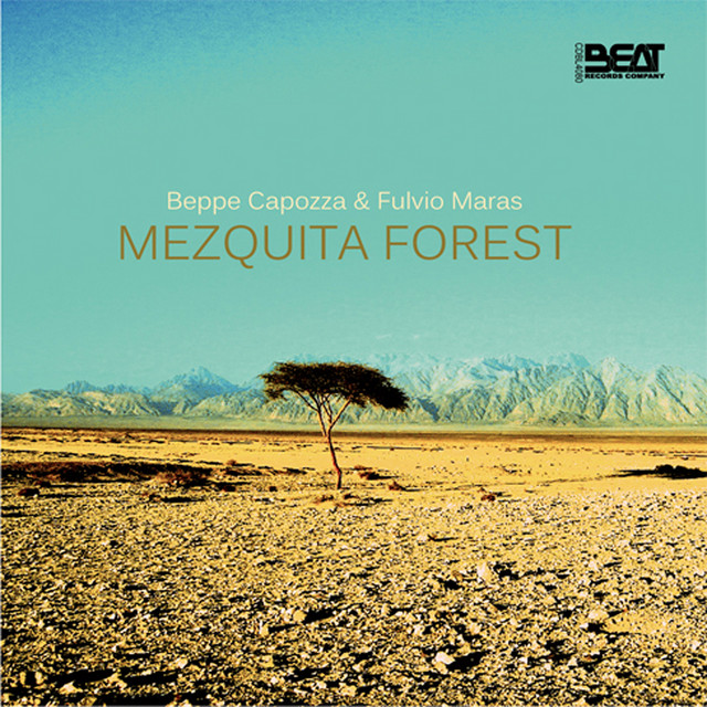 Gobi cover art