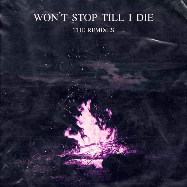 Won't Stop Till I Die - ACE Remix