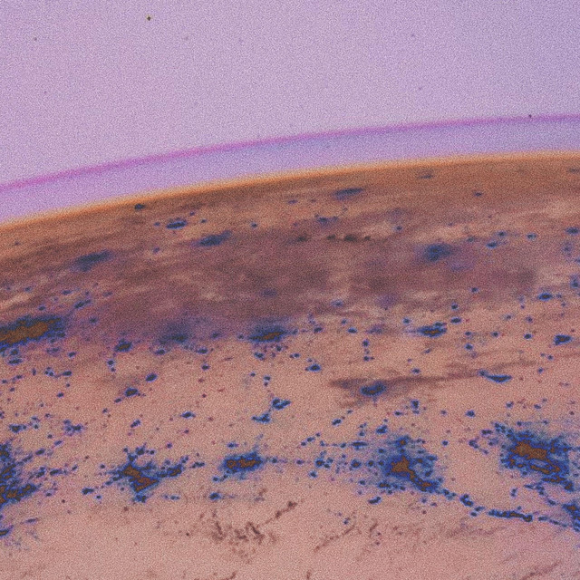 Dr. Atmo Photo