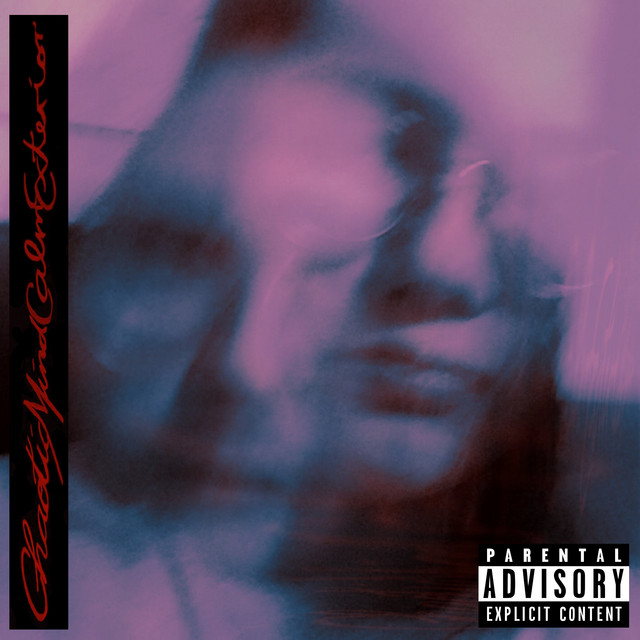 Chaotic Mind Calm Exterior cover art
