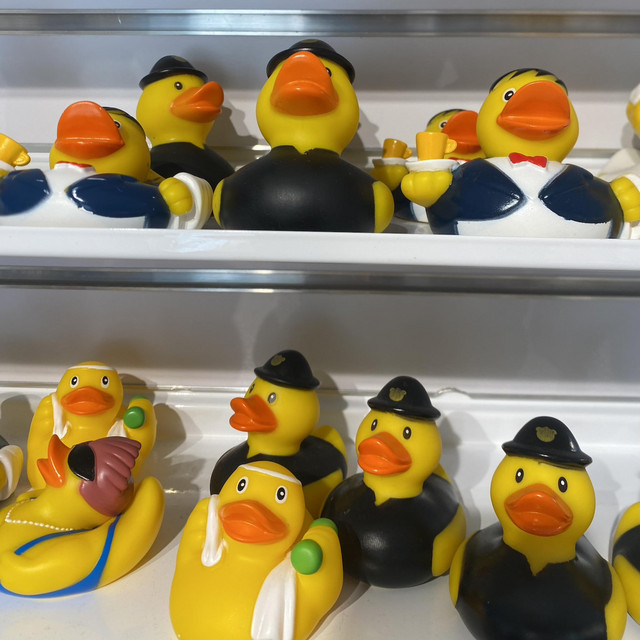 ducks/middleman cover art