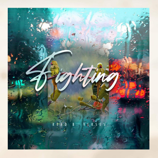 Fighting cover