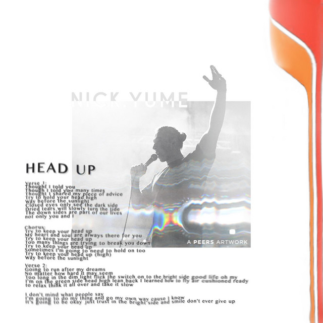 Head Up cover