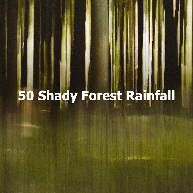 50 Shady Forest Rainfall cover art