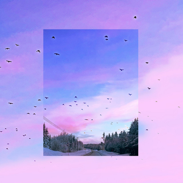 VILA cover art