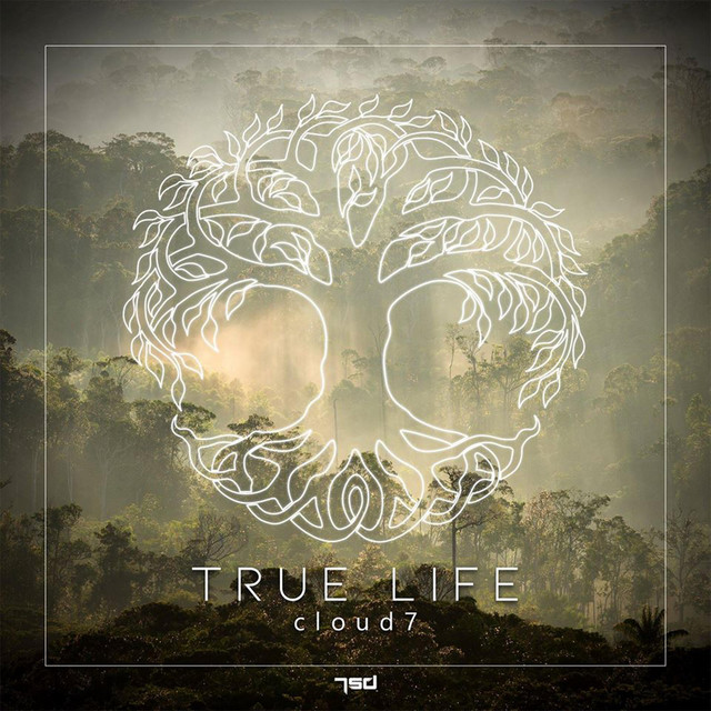 True Life cover art