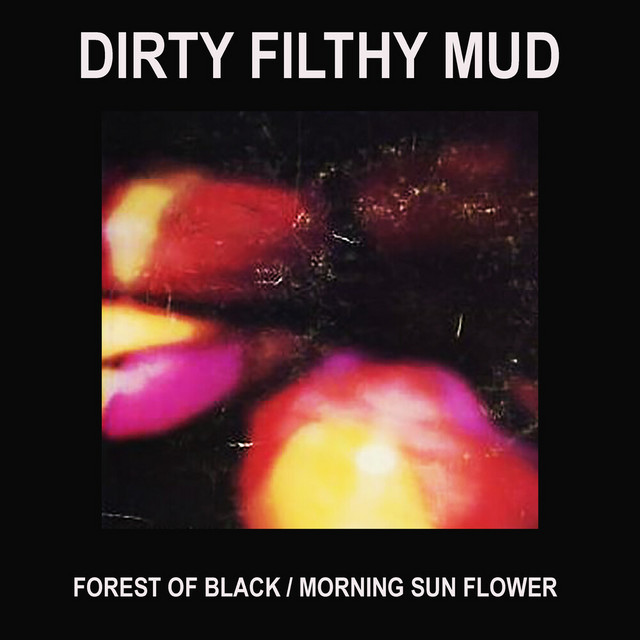 Dirty Filthy Mud Photo