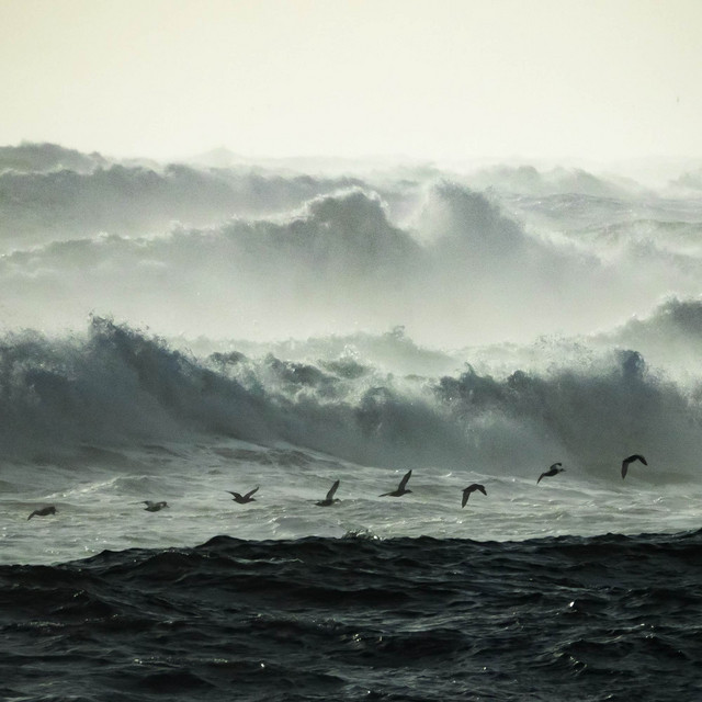 Cover art: Sea Storm — Vens Adams