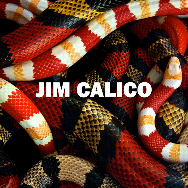 Come Through - Single by Jim Calico | Spotify