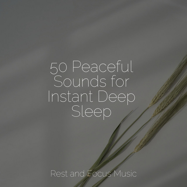 50 Peaceful Sounds for Instant Deep Sleep - Album by Anxiety Relief ...
