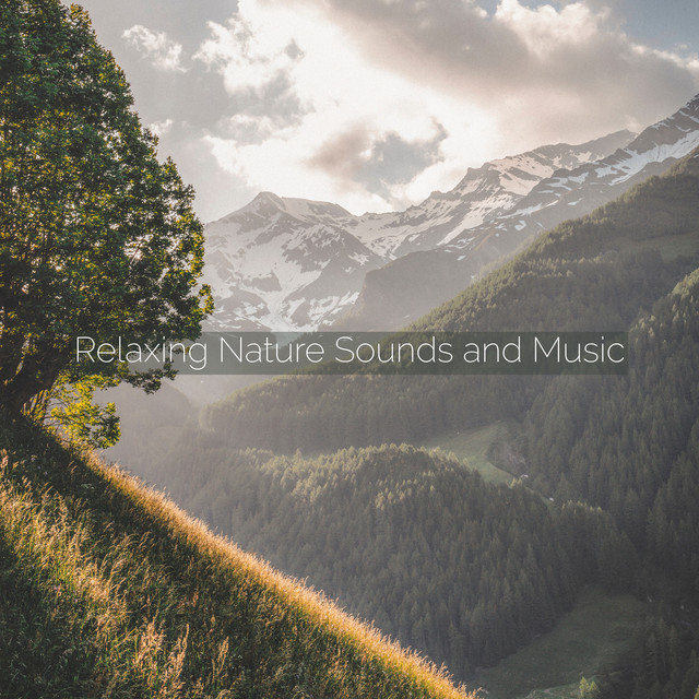 Relaxing Nature Sounds and Music cover art