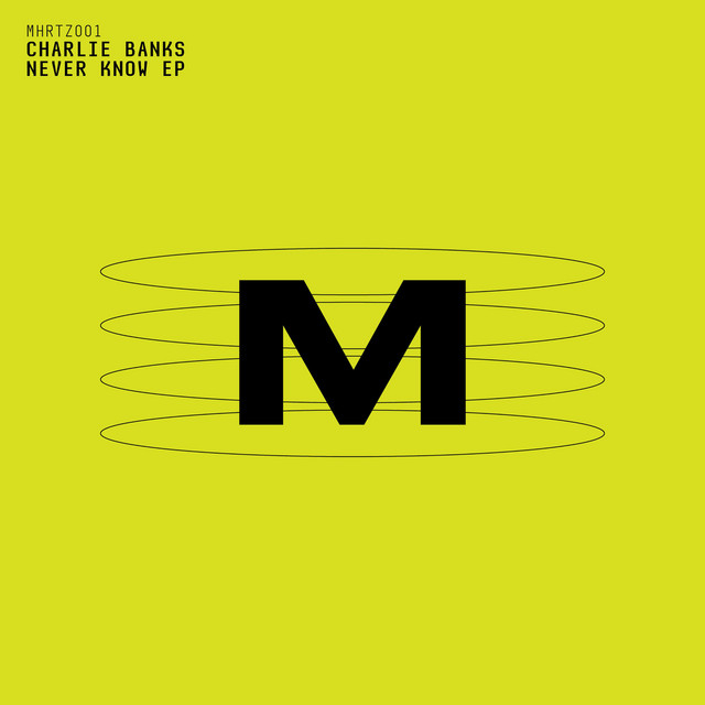 Never Know album art